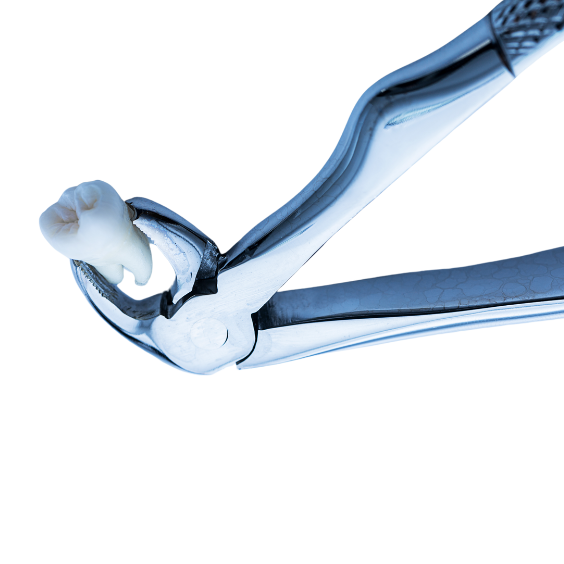 extraction-of-wisdom-new-now